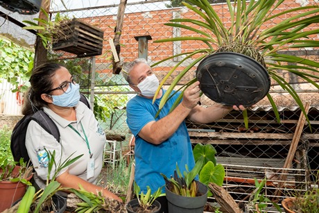 Campanha Todos contra a Dengue da Itaipu Binacional, em Foz do Iguaçu