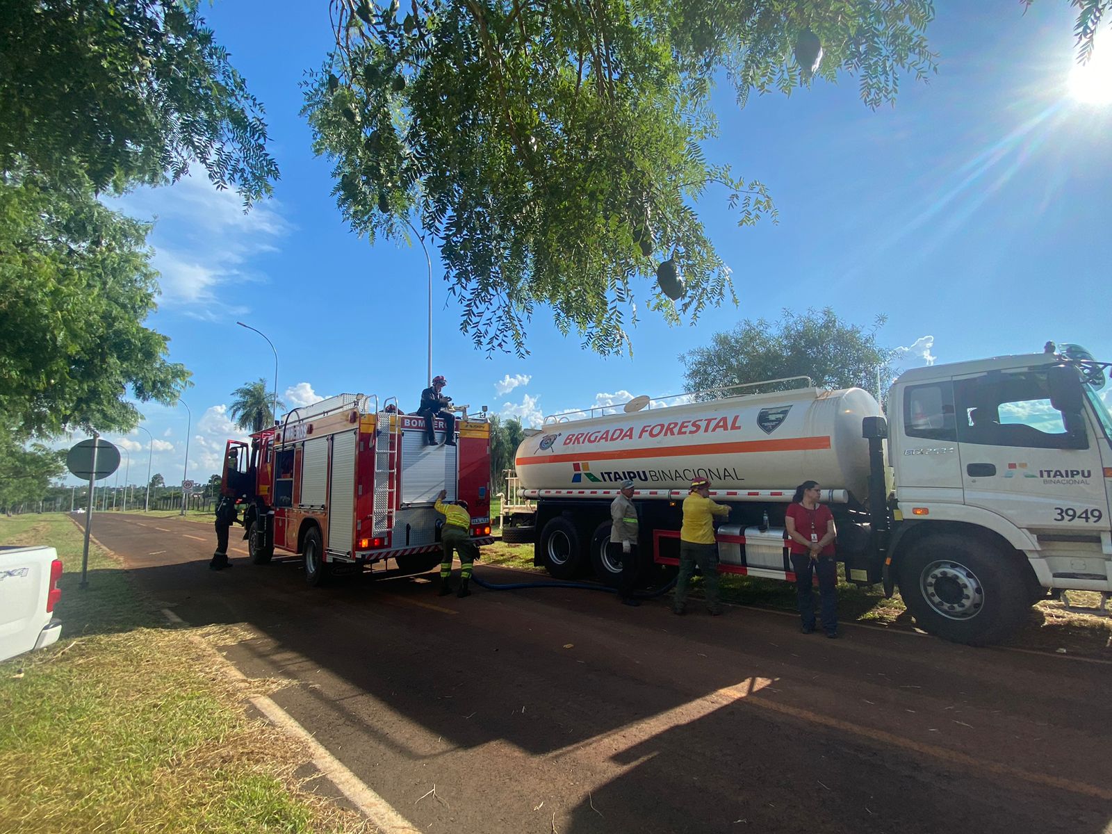 Bomberos de ITAIPU logran controlar un incendio forestal en Hernandarias |  ITAIPU BINACIONAL