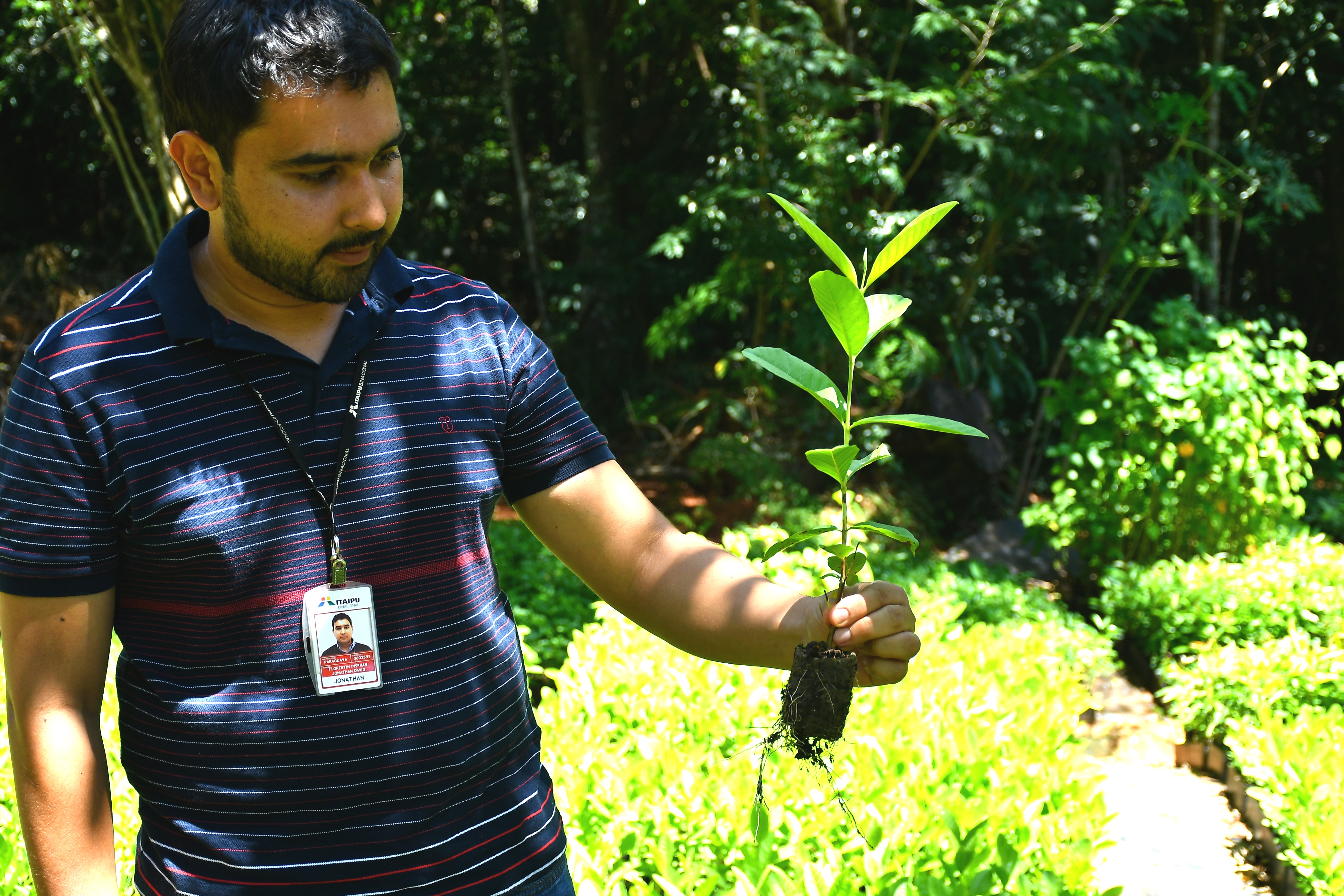 Vivero de ITAIPU produce 40 diferentes especies de plantas ornamentales de  manera anual | ITAIPU BINACIONAL